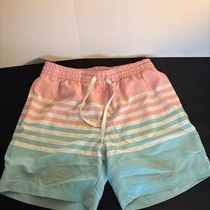 chubbies Pink and Light Blue Striped Swim Shorts